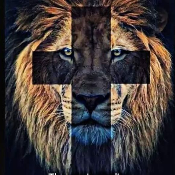 Meet your Posher, Edward - Picture 1 of 1